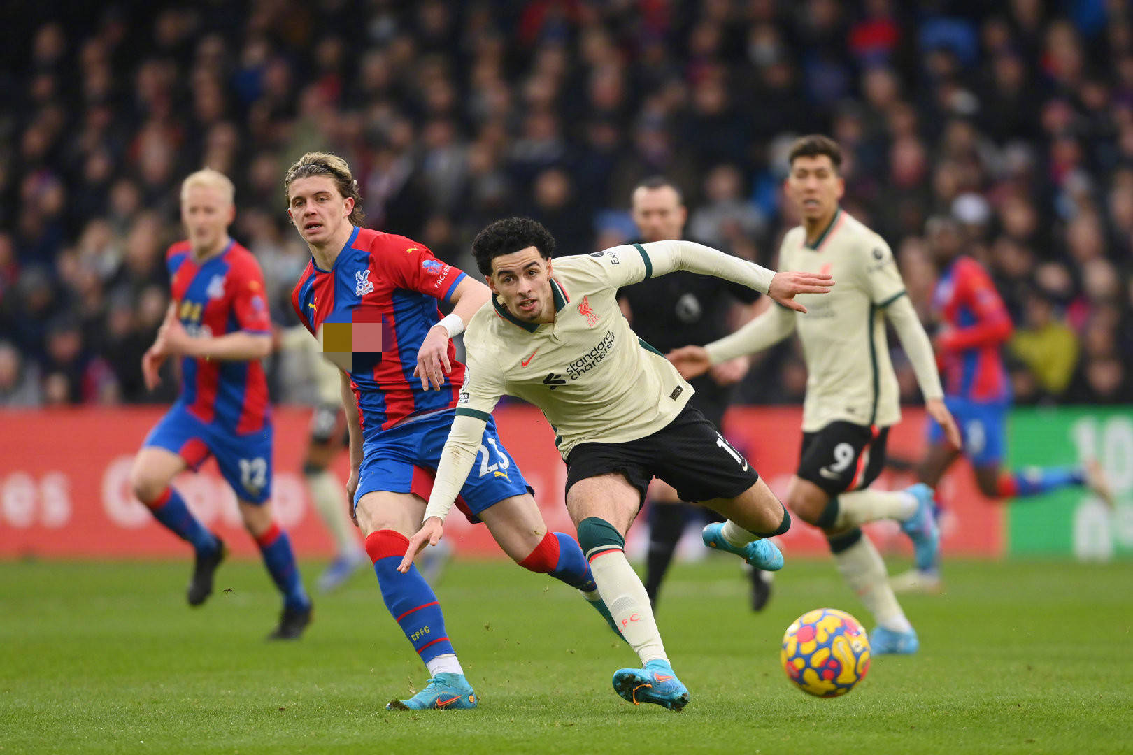 育项目借鉴 育项目借鉴