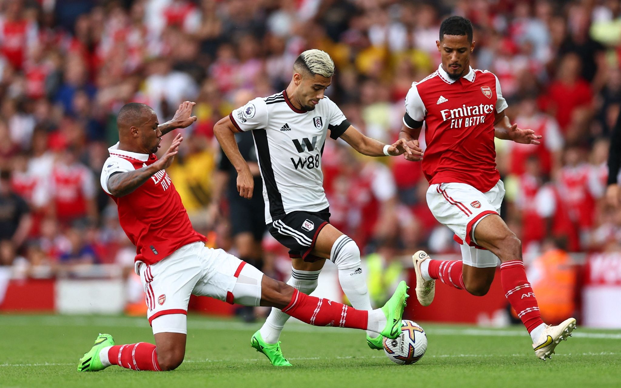 为所在球队 为所在球队